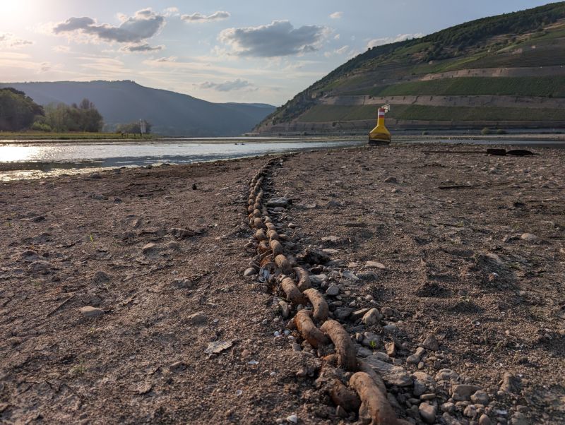 Nahe-Mündung mit Blick auf den Rhein (im Hintergrund) im Sommer 2026